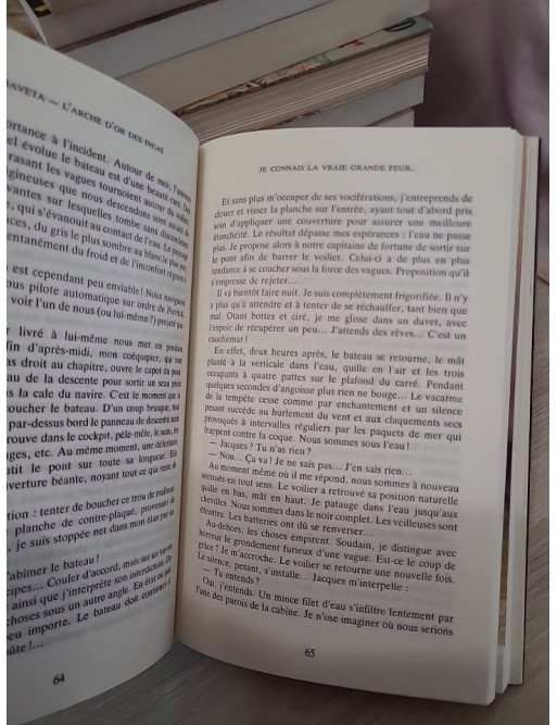 Chaveta - L'arche d'or des Incas - Jéromine Pasteur