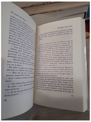 Un amour clair-obscur