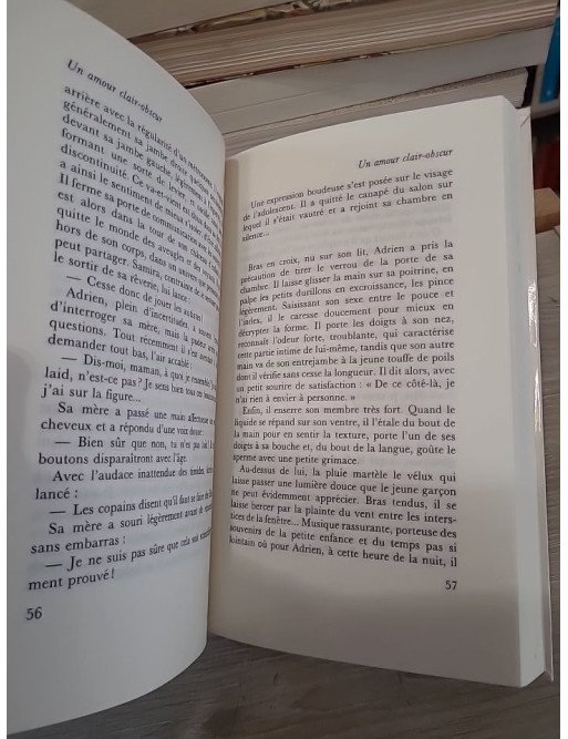 Un amour clair-obscur