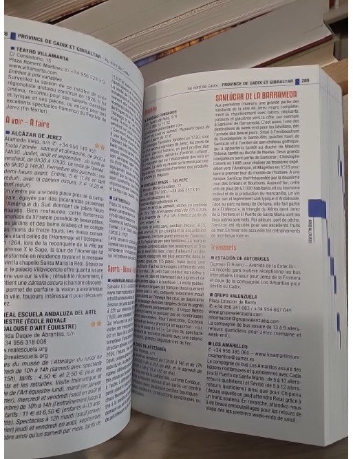 Guide Espagne 2018 Petit Futé