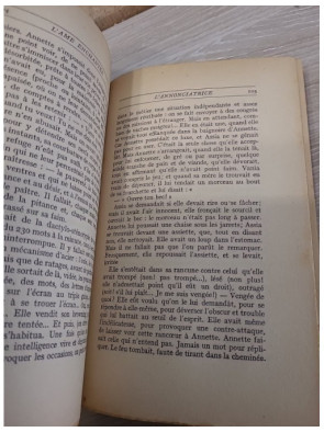 L'Âme enchantée - Tome IV - L'Annonciatrice (Anna Nuncia) - Tome II : L'Enfantement (2ème partie, Mai florentin)
