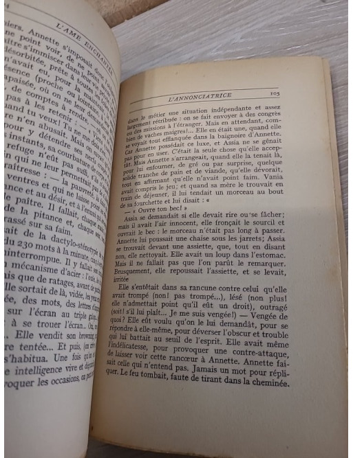 L'Âme enchantée - Tome IV - L'Annonciatrice (Anna Nuncia) - Tome II : L'Enfantement (2ème partie, Mai florentin)
