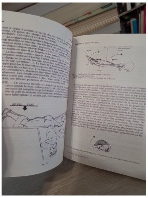 La Musculation "le guide de l'entraîneur"