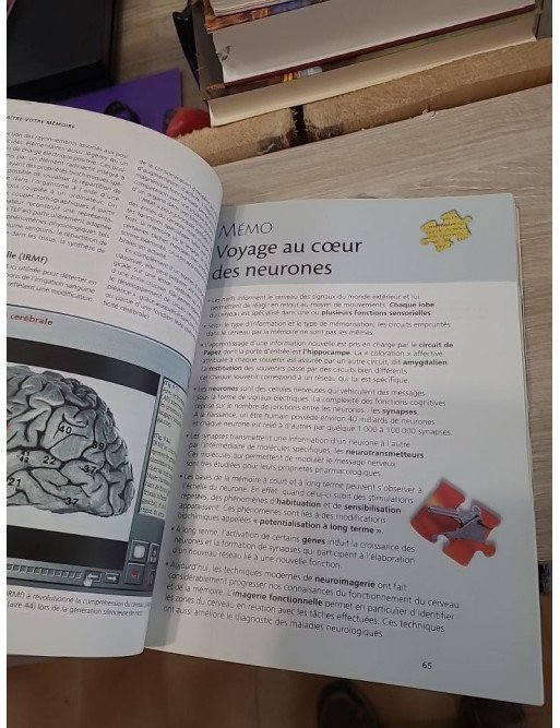 Votre mémoire - Bien la connaître, mieux s'en servir