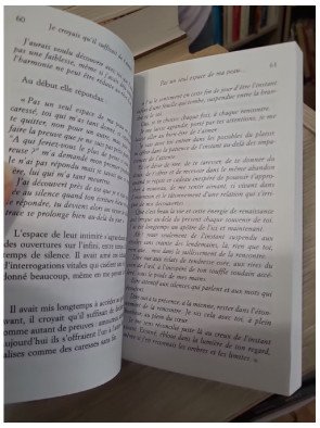 Je croyais qu'il suffisait de t'aimer