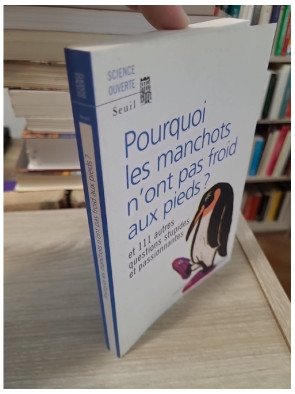 Pourquoi les manchots n'ont pas froid aux pieds ? - New Scientist