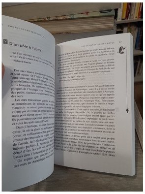 Pourquoi les manchots n'ont pas froid aux pieds ? - New Scientist