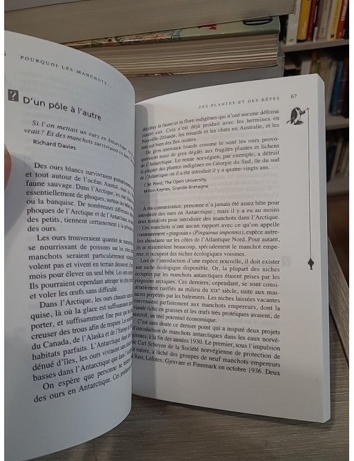 Pourquoi les manchots n'ont pas froid aux pieds ? - New Scientist