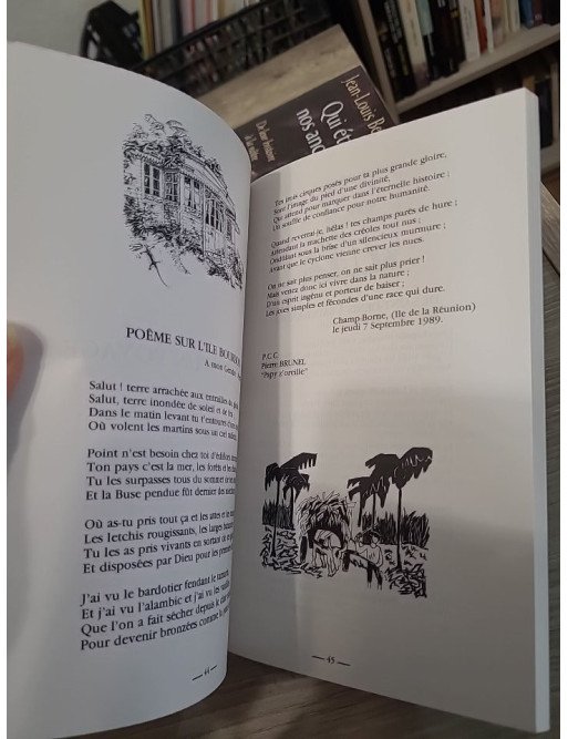 Les nouvelles fleurs du bien - Pierre Brunel