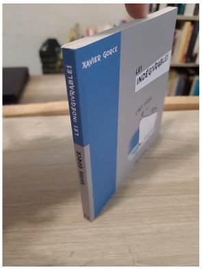 Les Indégivrables Tome 1 - Xavier Gorce