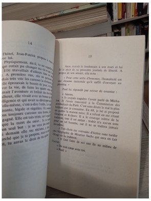 Les Irréguliers - Gérard Guégan