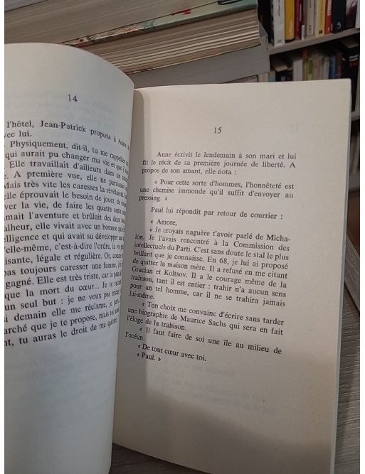 Les Irréguliers - Gérard Guégan