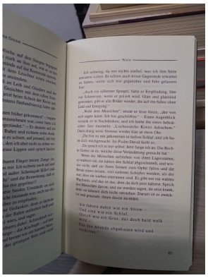 Der Golem - Gustav Meyrink