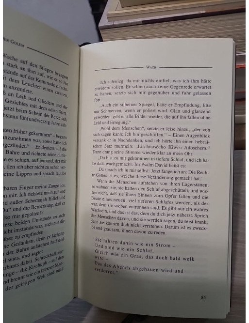 Der Golem - Gustav Meyrink