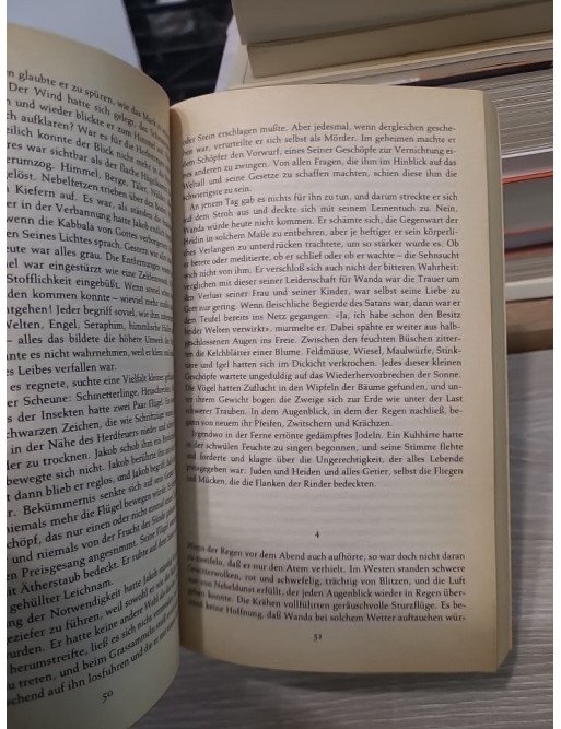 Jakob der Knecht - Isaac Bashevis Singer