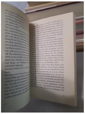 Nachgetragene Liebe - Peter Härtling