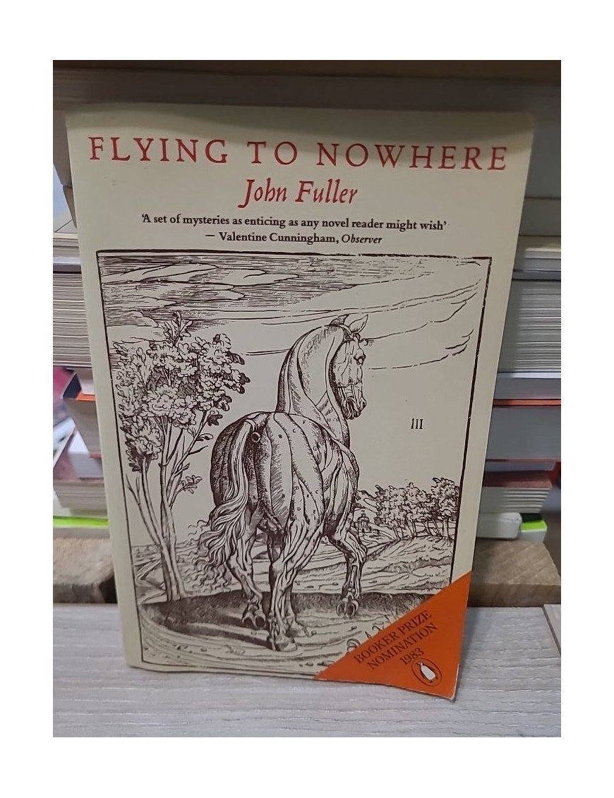Flying to Nowhere - John Fuller