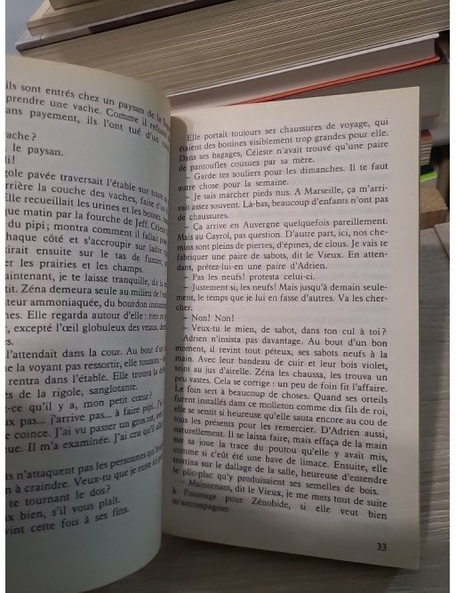 La soupe à la fourchette - Jean Anglade