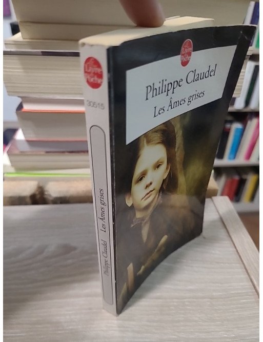 Les Âmes grises - Philippe Claudel