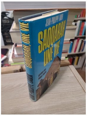 Saqqarah - Jean-Philippe Lauer, Philippe Flandrin