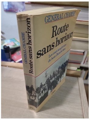 Route sans horizon - Les eaux sanglantes du beau Danube bleu - René Chambe