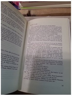 Route sans horizon - Les eaux sanglantes du beau Danube bleu - René Chambe