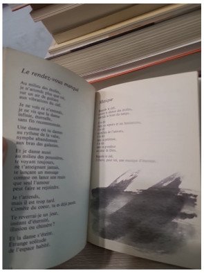 Clair de terre - Albéric De Palmaert