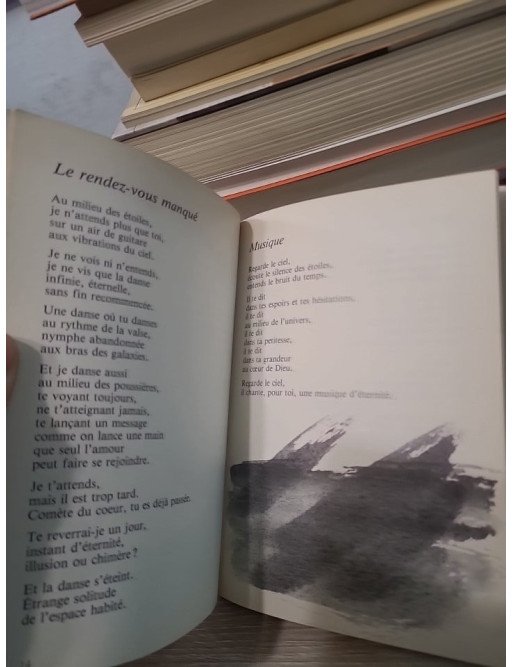 Clair de terre - Albéric De Palmaert