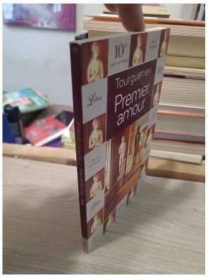Premier amour - Ivan Tourgueniev