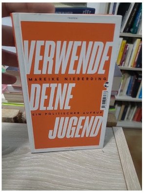 Verwende deine Jugend - Ein politischer Aufruf - Mareike Nieberding