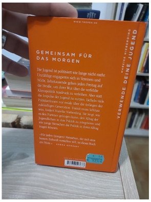 Verwende deine Jugend - Ein politischer Aufruf - Mareike Nieberding