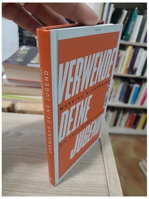 Verwende deine Jugend - Ein politischer Aufruf - Mareike Nieberding