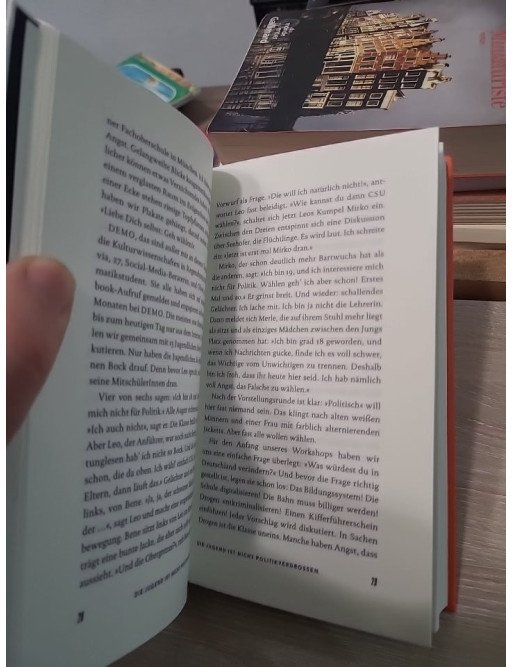 Verwende deine Jugend - Ein politischer Aufruf - Mareike Nieberding