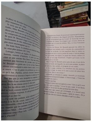 La prof - Freida McFadden