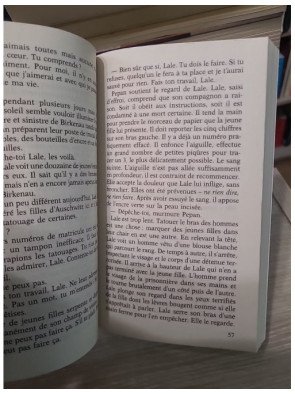 Le tatoueur d'Auschwitz - Heather Morris