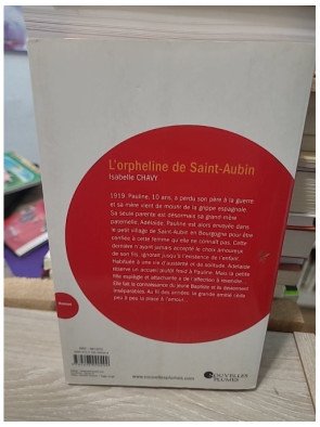 L'orpheline de Saint-Aubin - Isabelle Chavy
