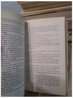 L'orpheline de Saint-Aubin - Isabelle Chavy