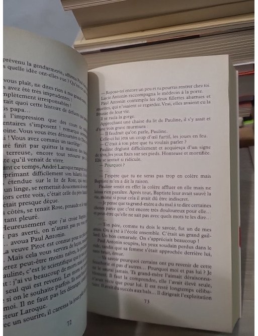 L'orpheline de Saint-Aubin - Isabelle Chavy