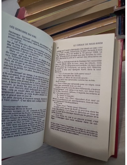 Les Sorciers Du Ciel - Christian Bernadac