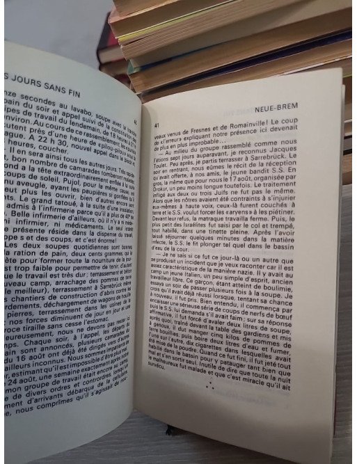 Des Jours Sans Fin - Christian Bernadac