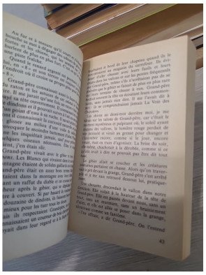 Petit Arbre - Forrest Carter