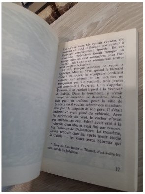 L'Auberge De La Peur Suivi De Seul Dans La Foret Sauvage - Isaac Bashevis Singer