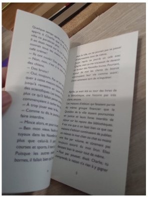 Matin brun - Franck Pavloff