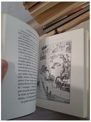 La momie du temple interdit - Roger Judenne