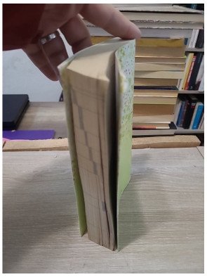 La Bible - Segond 21 - SBL