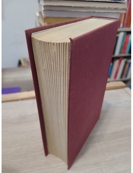 Les Grandes Espérances - Charles Dickens