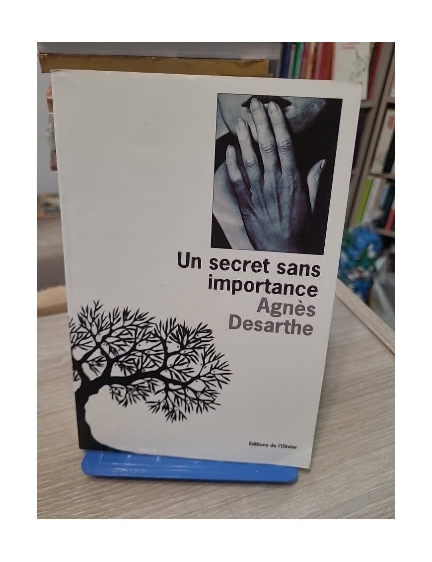 Un Secret Sans Importance - Agnès Desarthe