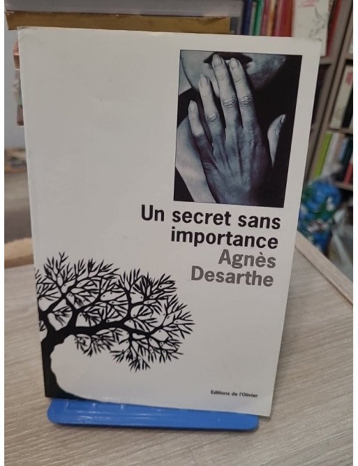 Un Secret Sans Importance - Agnès Desarthe