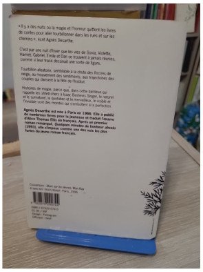 Un Secret Sans Importance - Agnès Desarthe