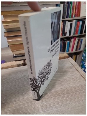 Un Secret Sans Importance - Agnès Desarthe